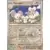 Ecarlate et Violet - SVIFR - Famignol Reverse