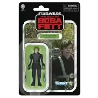 Luke Skywalker (Jedi Academy)