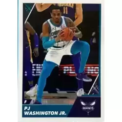 PJ Washington Jr. - Charlotte Hornets