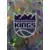 NBA 2021-2022 - Team logo - Sacramento Kings