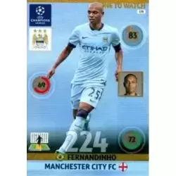 Fernandinho - Manchester City FC