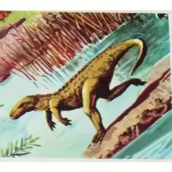EUPARKERIA