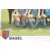Euro Football 79 - FC  BASEL  1893   HELVETIA