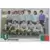 Euro Football 79 - SPORTING    PORTUGAL