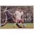 Euro Football 79 - P.S.V   EINDHOVEN   -  BASTIA   SC