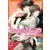 Tome 9