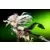 Video Games Kotobukiya - The Legend of Heroes - Fie Claussell