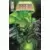 Savage Dragon 1