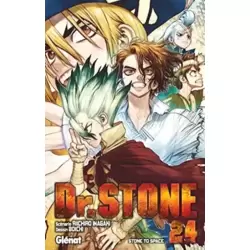 Stone to Space