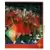 Road to UEFA Nations League 2022 - Winner - Portugal 2/2
