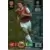Robin van Persie - Arsenal FC - Champions