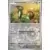 Motorizard Reverse
