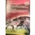 Wizards Football Champions France 2001/2002 - Temporiser
