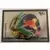 MotoGP 2022 - Brad Binder