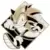 Zen Monkey Studios - Sonic