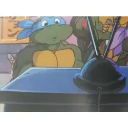 Leonardo   ,   Donatello    ,   Raphael