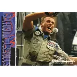 The Fallen Hero