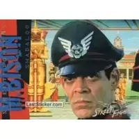 M.Bison