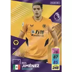 Raul Jiménez - Wolverhampton Wanderers