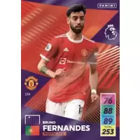Card n°234