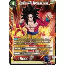 Son Goku SS4, Esprits Retrouvés