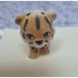 Chichi Cheetah