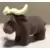 Fernando Black Buffalo