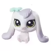 LPS 241