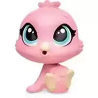 LPS 242