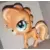LPS 2648