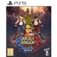 Double Dragon Gaiden - Rise Of The Dragons