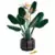 LEGO Botanical Collection - Bird of Paradise - Botanical Collection