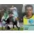 Foot 2003 - Valérien Ismaël - Strasbourg