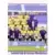 Equipe (puzzle 2) - Football Club Sochaux-Montbéliard