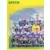 Equipe (puzzle 1) - Bastia