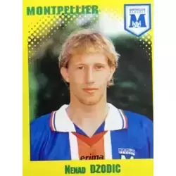 Nenad Dzodic - Montpellier