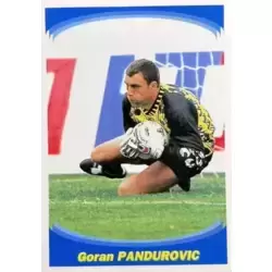 Goran Pandurović - Gardien