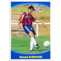 Nenad Bjeković - Attaquant