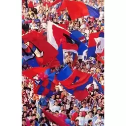 Olympique de Lyon - Le 12ème Homme-Supporters