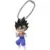 UDM Burst 13 - Vegeto