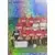 Equipe (puzzle 1) - Rennes