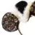 Headbands Ears Disney - Mickey Mouse : The Main Attraction - Pirates Of Caribbean
