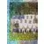 Equipe (puzzle 1) - Auxerre