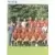 Equipe (puzzle 1) - Nice