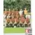 Equipe (puzzle 2) - Nice