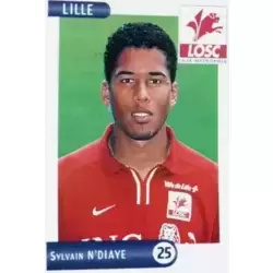 Sylvain N'Diaye - Lille