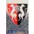 Foot 99 - Ecusson - Rennes