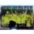Nantes devient Champion de France 2001 - Flashback 2000-2001