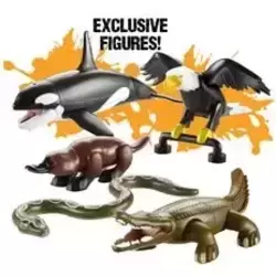 Micro 5 Pack C