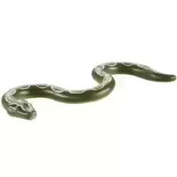 Burmese Python